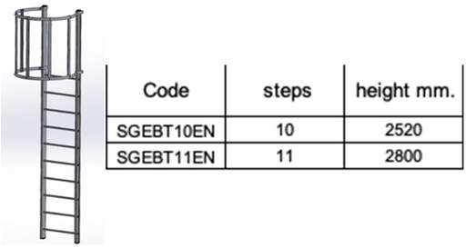 [SGEBT10EN] SGEBT10EN - SVELT Enkele kooiladder 2520 mm